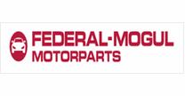 empleos de comprador materiales directos e indirectos en Federal Mogul