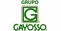 empleos de ejecutivo en GRUPO GAYOSSO