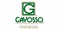 GRUPO GAYOSSO