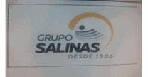 Grupo Salinas