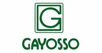 empleos de ejecutivo de ventas en GRUPO GAYOSSO