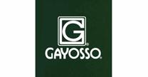 empleos de vendedor en GRUPO GAYOSSO