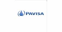 Grupo PAVISA