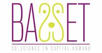 Basset Soluciones