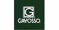 GRUPO GAYOSSO