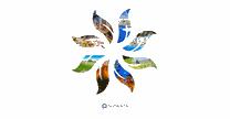 Grupo Vidanta