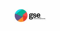 GSE Soluciones Empresariales