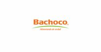 empleos de almacenista en BACHOCO