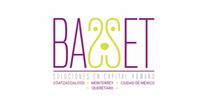 BASSET SOLUCIONES