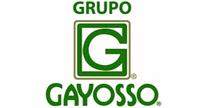 GRUPO GAYOSSO