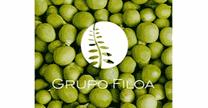 Grupo Filoa