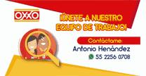 empleos de auxiliar de tienda en Cadena Comercial OXXO