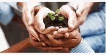 empleos de chofer en Agromich.