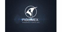 FIGUIMEX S.A de C.V