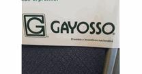 empleos de asesor en GAYOSSO