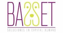 BASSET SOLUCIONES