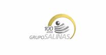 Grupo Salinas