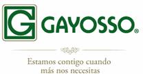 GAYOSSO SERVICIOS CORPORATIVOS