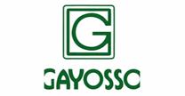 Grupo Gayosso