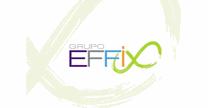 Grupo Effix