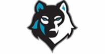 Comercializadora Wolf