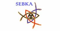 empleos de coordinador de contabilidad en Sebka S.A de C.V