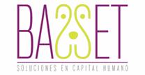 BASSET SOLUCIONES