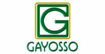 GRUPO GAYOSSO