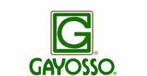 Servicios Gayosso