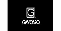 empleos de coordinador de ventas comisiones no topadas pl ps35000 en Grupo GAYOSSO