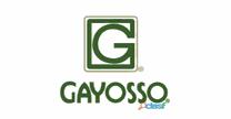 empleos de ejecutivo de ventas en GRUPO GAYOSSO