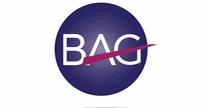 empleos de recien egresados sistemas en Bag Consultoría