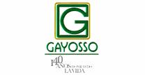 empleos de representante de ventas en Corporativo Gayosso