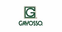 empleos de ejecutivo de ventas industriales en Gayosso