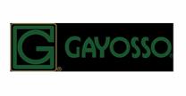 empleos de ejecutiva comercial en Gayosso