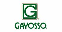 empleos de vendedor multifuncional en GAYOSSO