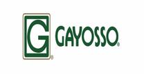 empleos de promotora de ventas en GG