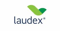 empleos de comercial toluca en Laudex