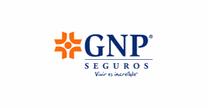 empleos de asesor financiero en MZF Consultores