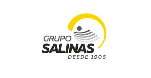empleos de asesor de ventas en Grupo Salinas