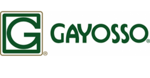 empleos de promo vendedor en GAYOSSO