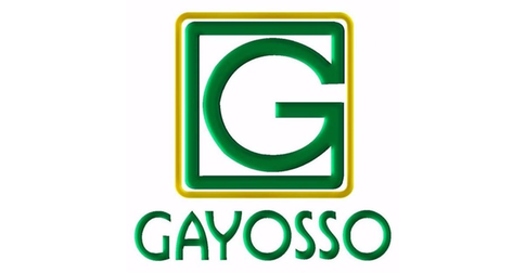 empleos de asesor en Gin Group