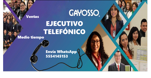 empleos de representante de ventas en Gayosso