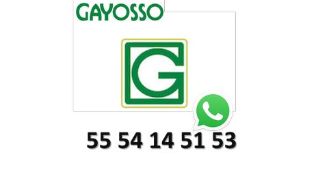 empleos de ejecutivo de ventas en Gayosso