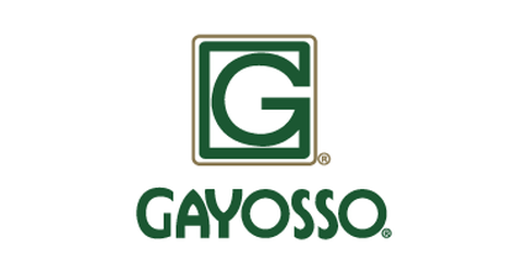 empleos de ejecutivo de ventas ingresos25000 o mas en Gayosso