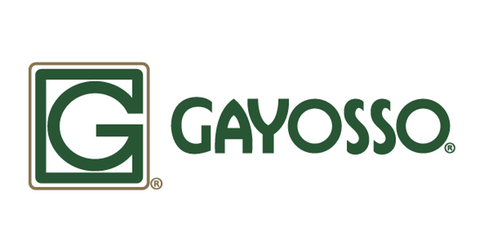 empleos de ejecutiva comercial en Gayosso