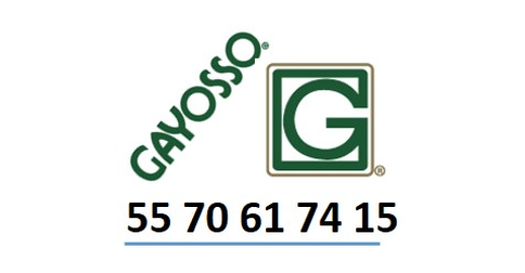 empleos de ejecutivo comercial junior comision sin tope en Gayosso