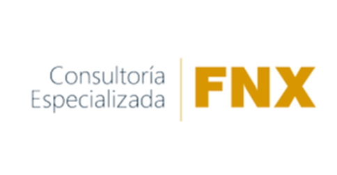 empleos de promotor de telefonia movil en Consultoría Especializada FNX