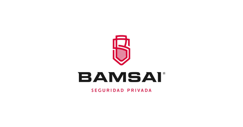 empleos de supervisor de seguridad privada en BAMSAI