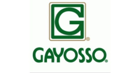 empleos de representante de ventas en Corporativo GAYOSSO